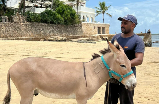 From Copenhagen to Lamu: How Donkey Republic is Making a Difference