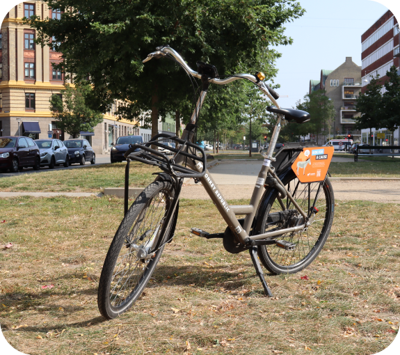 Zabibu Donkey Republic bike